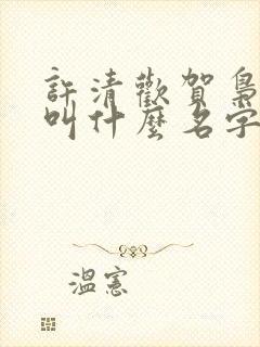 许清欢贺枭小说叫什么名字