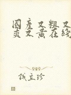 国产又粗又猛又爽又黄在线