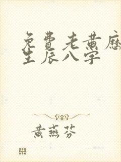 免费老黄历算命生辰八字