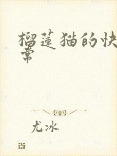 榴莲猫的快乐日常