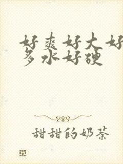 好爽好大好湿好多水好硬