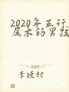 2020年五行属木的男孩名字