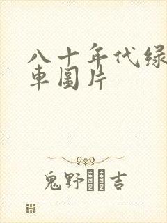 八十年代绿皮火车图片