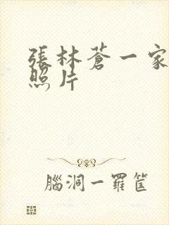 张林苍一家三口照片