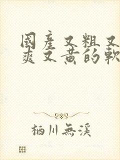 国产又粗又猛又爽又黄的软件