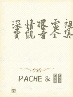 深情眼电视剧免费观看全集高清18集