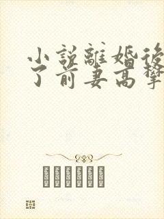 小说离婚后我成了前妻高攀不起的神
