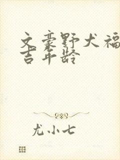 文豪野犬福泽谕吉年龄