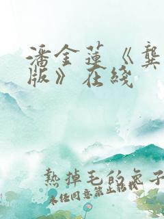 潘金莲《龚玥菲版》在线