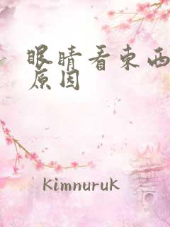 眼睛看东西双影原因