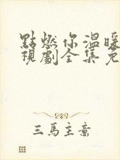 点燃你温暖我电视剧全集免费观看