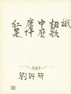 红尘中相识相爱是什么歌