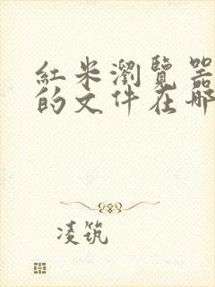 红米浏览器下载的文件在哪