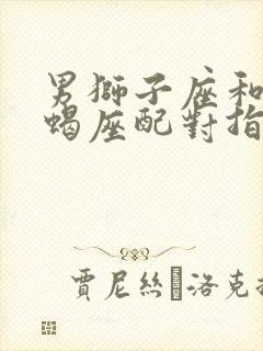 男狮子座和女天蝎座配对指数