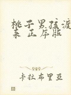 桃子男孩渡海而来 正序版