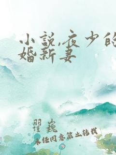 小说,夜少的二婚新妻