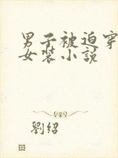 男子被迫穿束腰女装小说