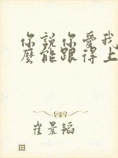 你说你爱我我怎么能跟得上你是什么歌