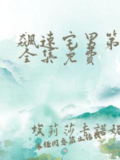 飙速宅男第一季全集免费