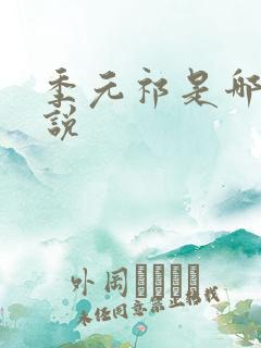 季元祁是哪本小说