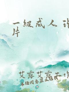 一级成人 理伦片