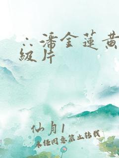 ∴潘金莲黄色一级片