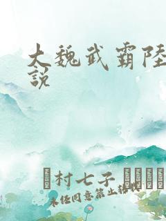 大魏武霸陆泽小说