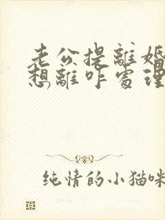 老公提离婚我不想离咋处理