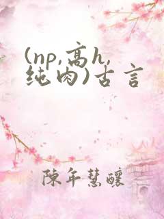 (np,高h,纯肉)古言