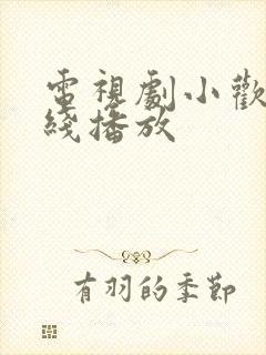 电视剧小欢喜在线播放