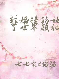 离婚后的她惊艳了世界顾北弦苏