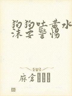 狗狗吐黄水带泡沫要警惕