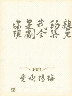 你是我的亲人电视剧全集免费观看