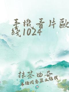 手机看片欧美在线1024