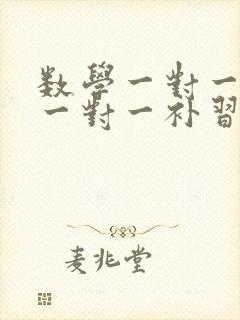 数学一对一初中一对一补习