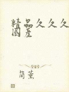 精品久久久久久国产