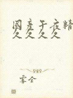 国产午夜精品久久久久久