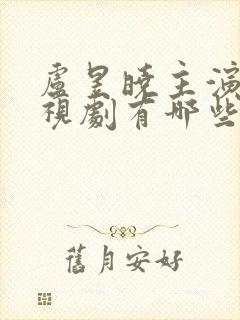 卢昱晓主演的电视剧有哪些