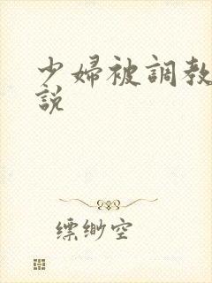少妇被调教成小说