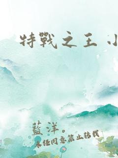 特战之王 小说