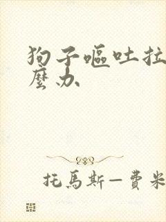 狗子呕吐拉稀怎么办