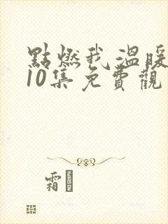 点燃我温暖你第10集免费观看