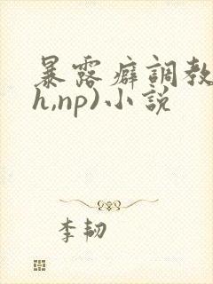 暴露癖调教(高h,np)小说