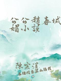 公公赵春城和苏媚小说