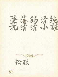 坠落的清纯校花沈清清小说老于和他