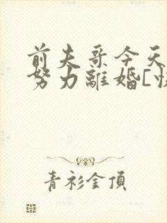 前夫哥今天也在努力离婚[快穿]