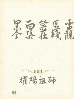 黑白禁区电视剧全集在线观看免费