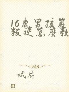 16岁男孩严重叛逆怎么教育