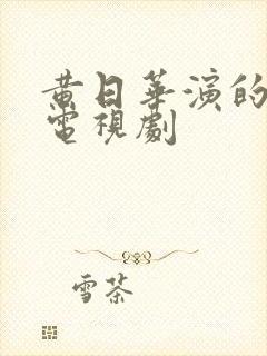 黄日华演的全部电视剧