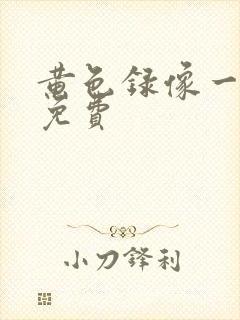 黄色录像一级片免费